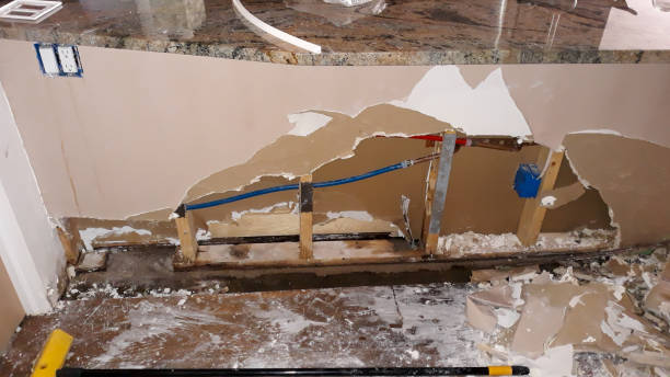 Best Flooded house restoration  in Troy, AL